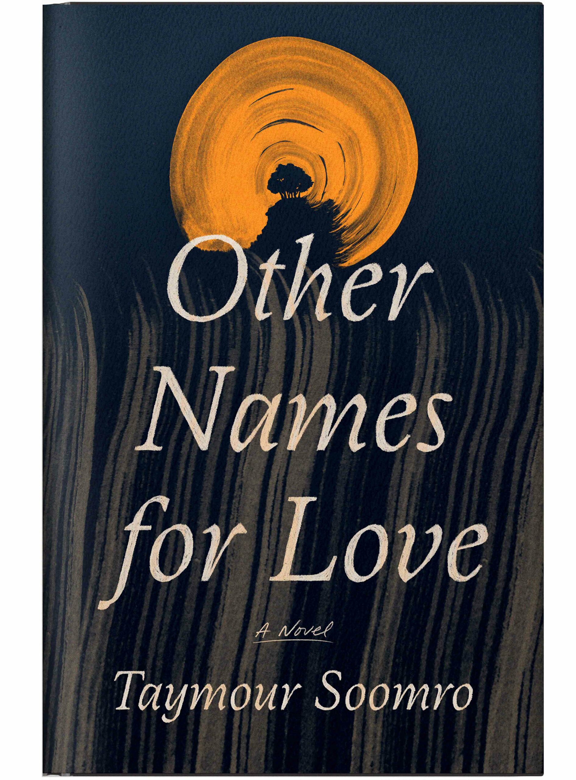 Cover of the book by Taymour Soomro: Other Names for Love