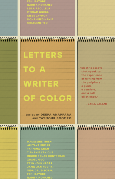 Cover of Letters to a Writer of Color